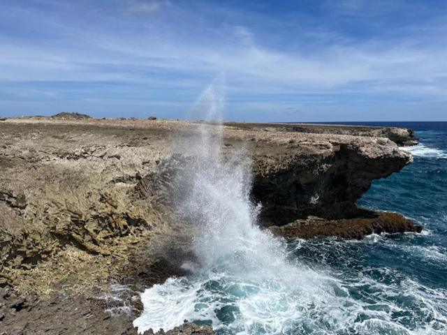 Bonaire 2 Stay Playa Ngoại thất bức ảnh