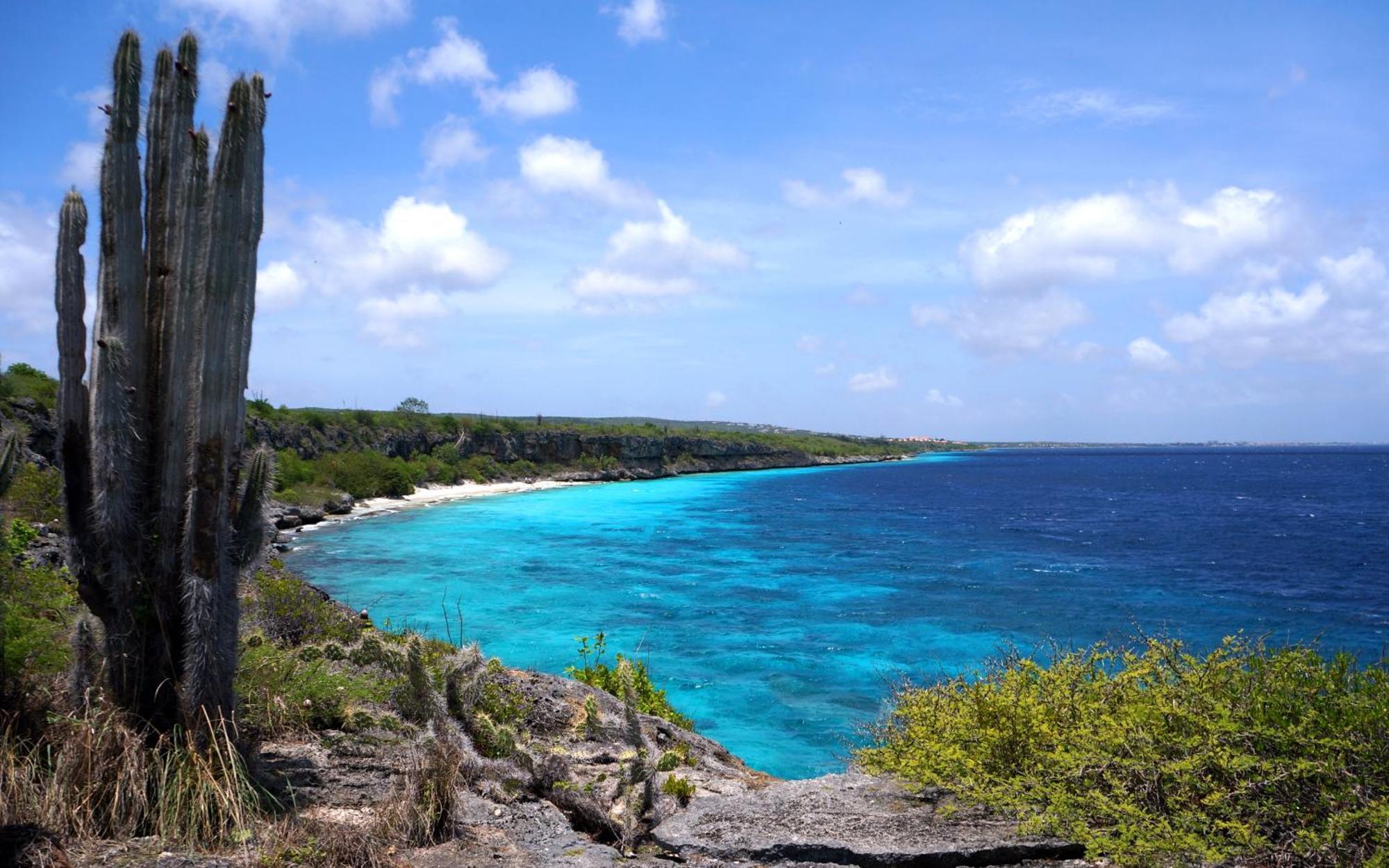 Bonaire 2 Stay Playa Ngoại thất bức ảnh